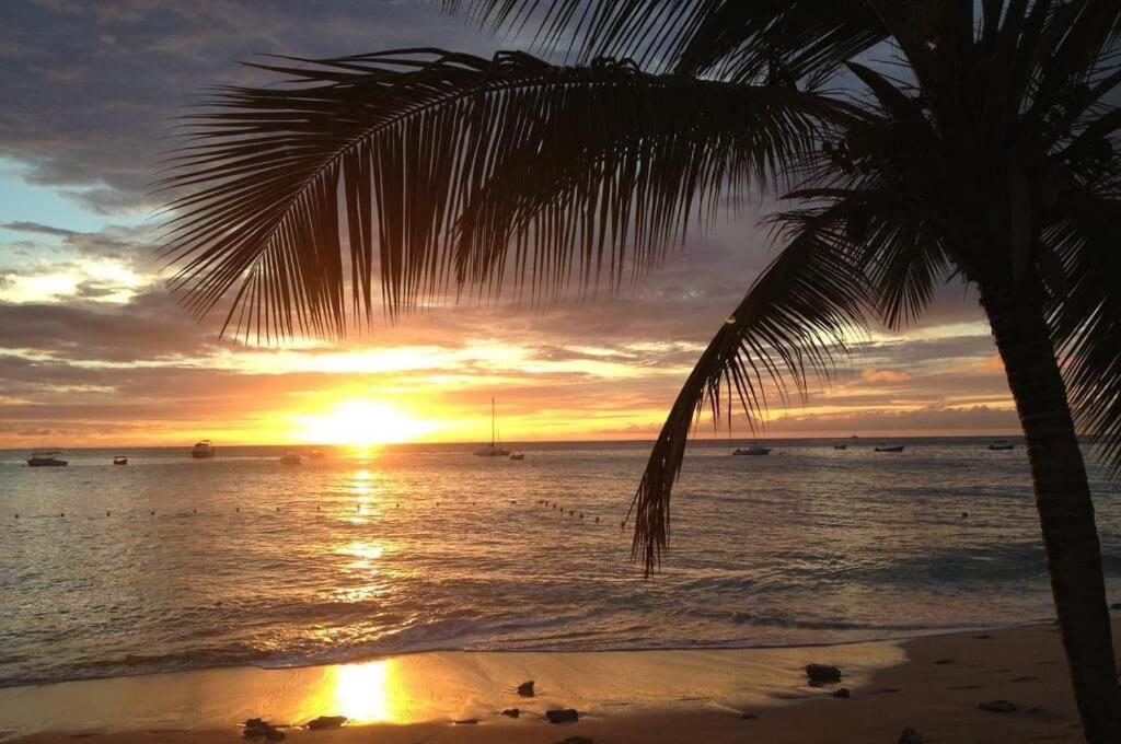 Joan Beach Resort Puerto Galera Dış mekan fotoğraf